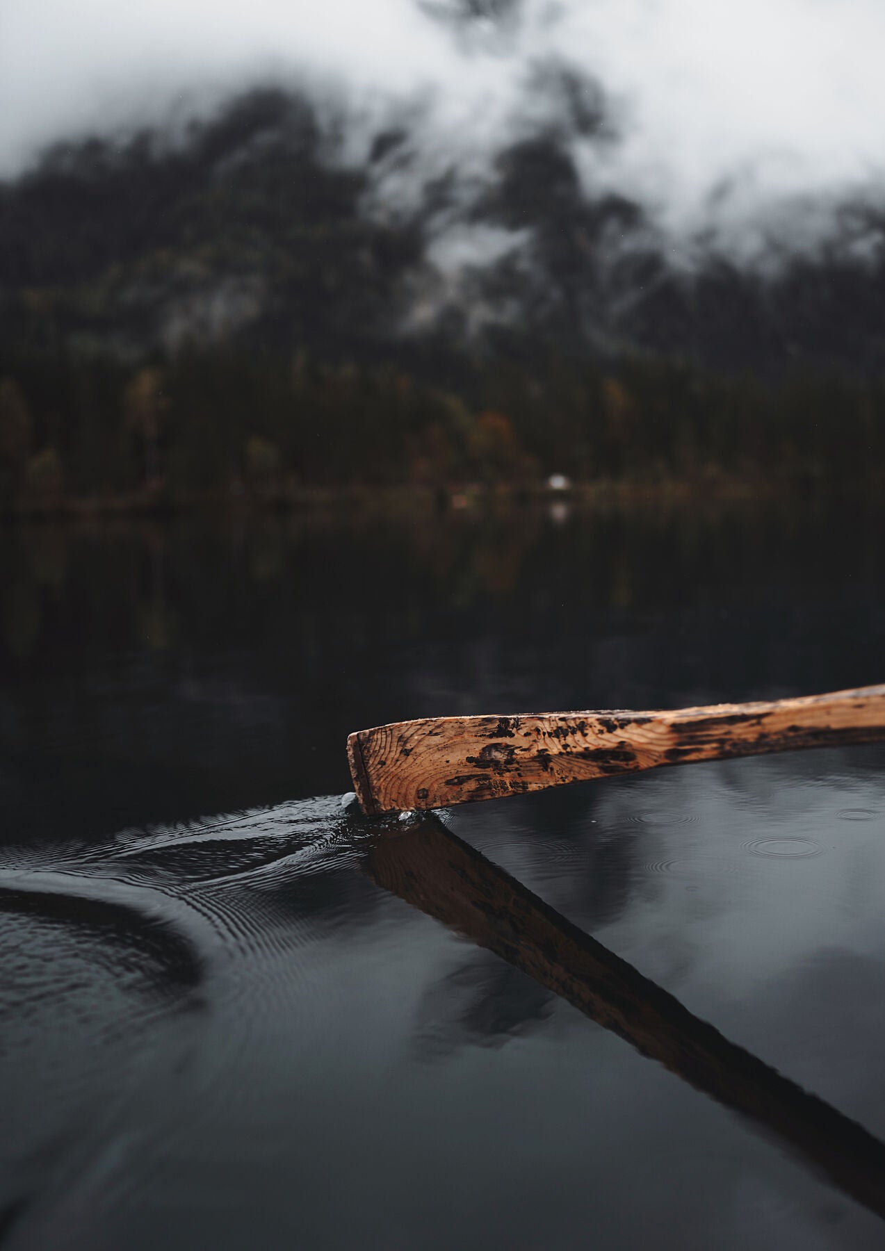 Rowing tranquility – Canvasmap