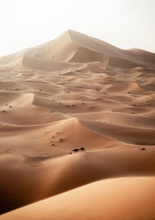 Nomad in the desert